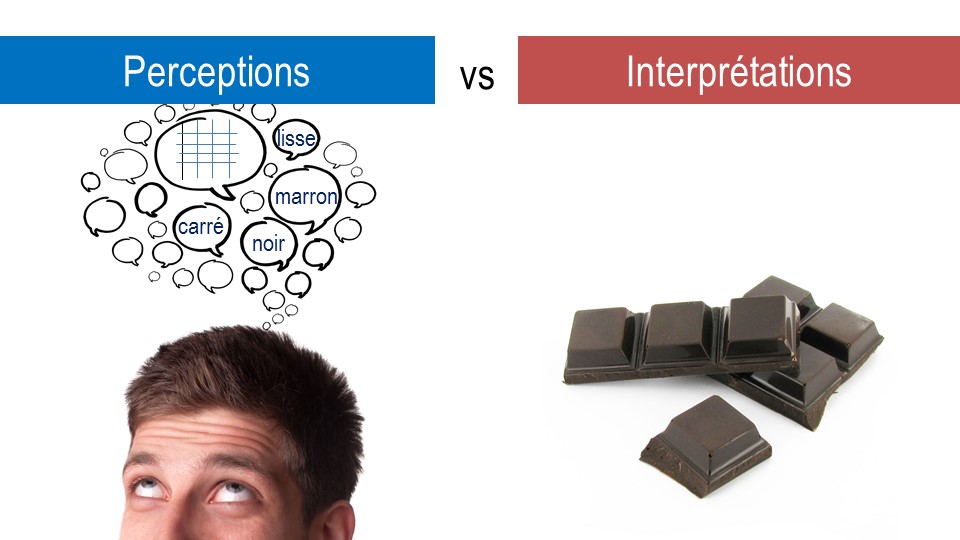 Formation en ligne pour développer son intuition - Perceptions vs Interprétations - iRiS, école de l'intuition