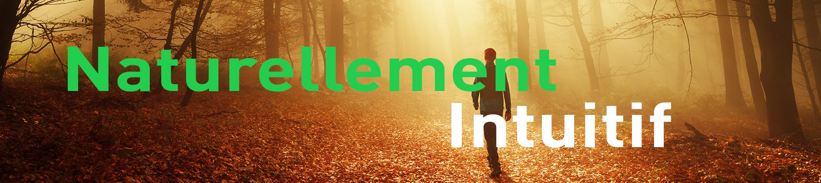 Naturellement intuitif - Isabelle Jenny - iRiS Intuition