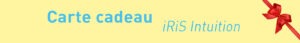 Offrez un stage autour de l'intuition à l'un de vos proches - iRiS Intuition
