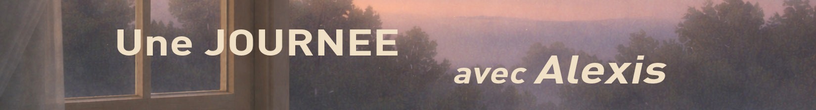 Une journée avec Alexis - Inscription - iRiS Intuition